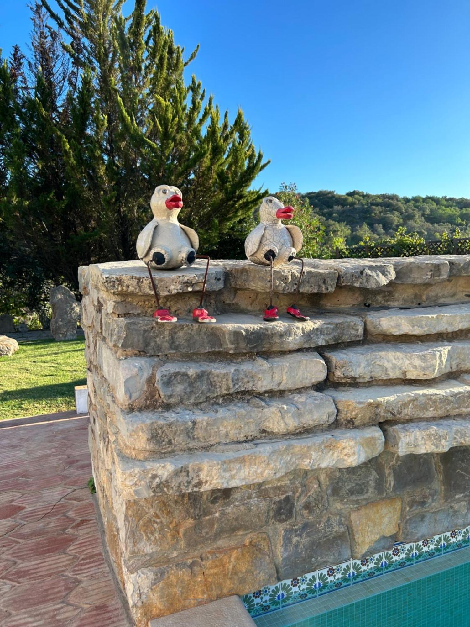 Villa Quinta Da Cortica São Brás de Alportel Exterior foto